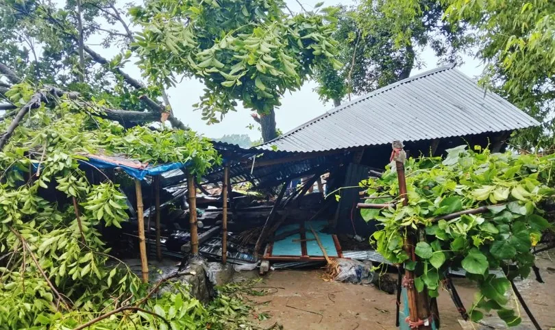 কালবৈশাখী ঝড়ে বসতবাড়ির ওপর গাছ পড়ে মা-মেয়েসহ নিহত ৩